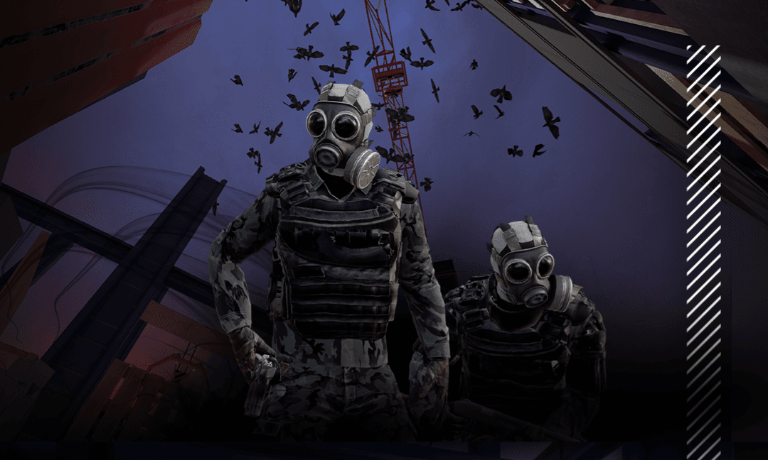 freedom fighters-raven